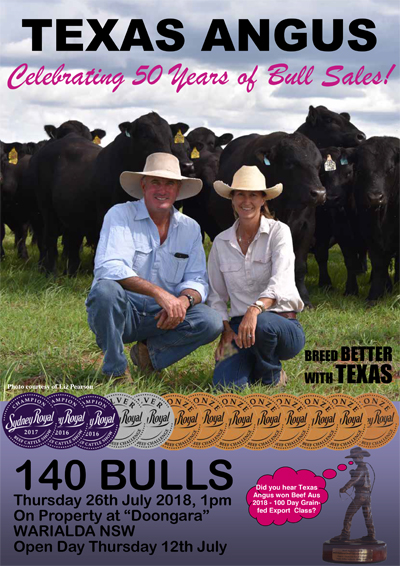 Texas Newsletter cover