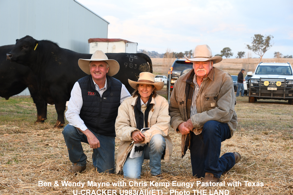 2025 Bull Sale Results